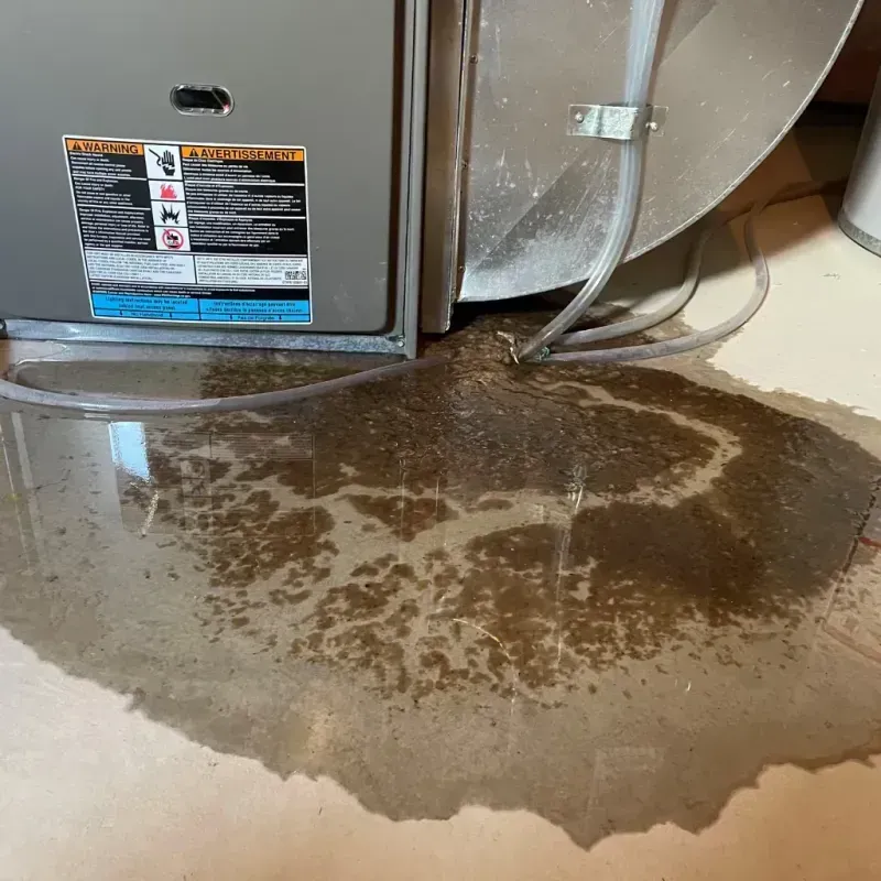 Appliance Leak Cleanup in Indian Springs Village, AL